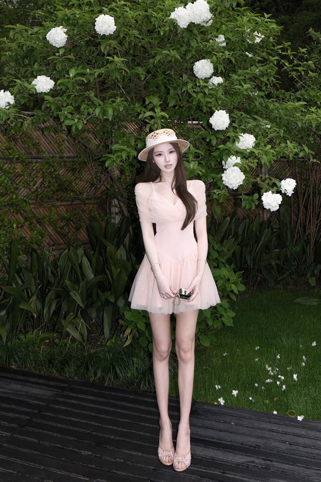 Sweet Ballet Style Cross Mesh Spliced Waist Cinched Dress - Image 5